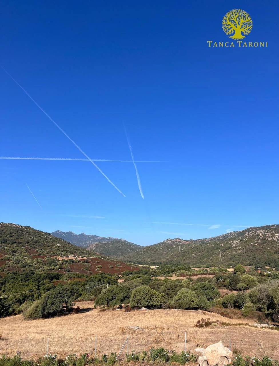 Agriturismo Bed And Breakfast Tanca Taroni Telti ภายนอก รูปภาพ
