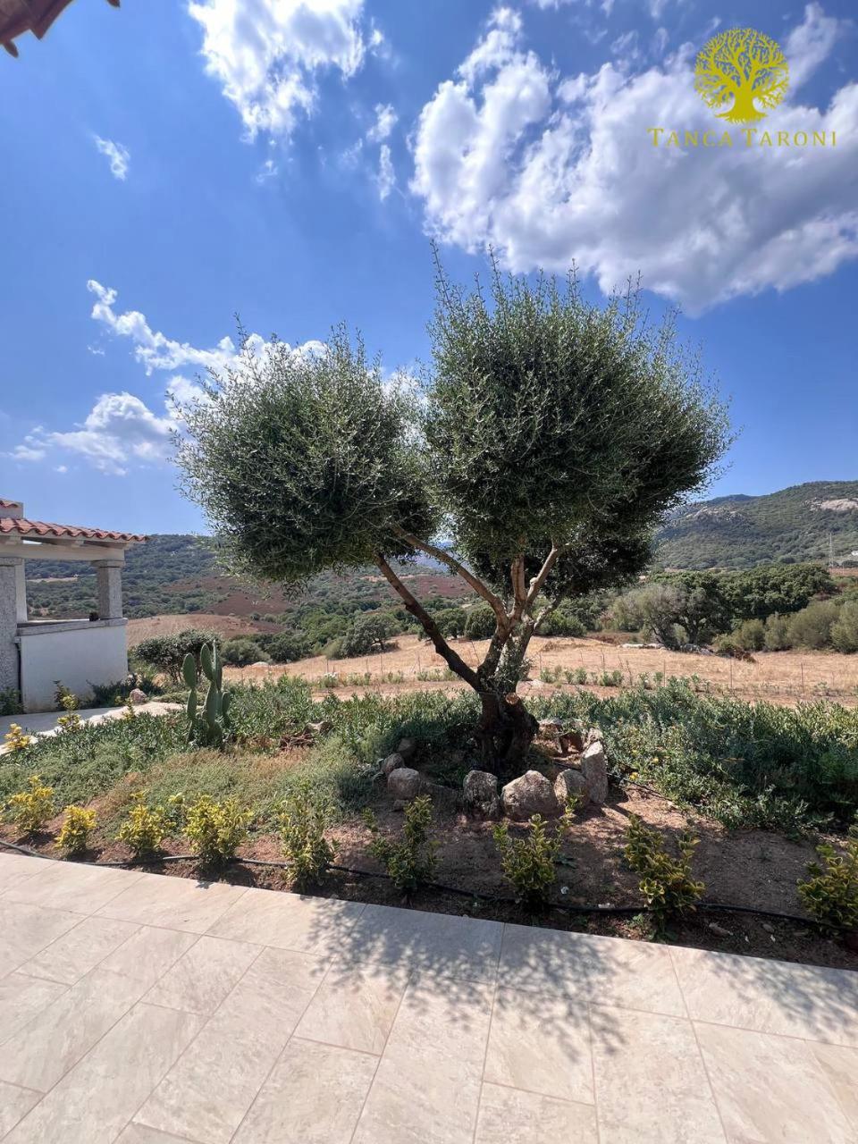 Agriturismo Bed And Breakfast Tanca Taroni Telti ภายนอก รูปภาพ