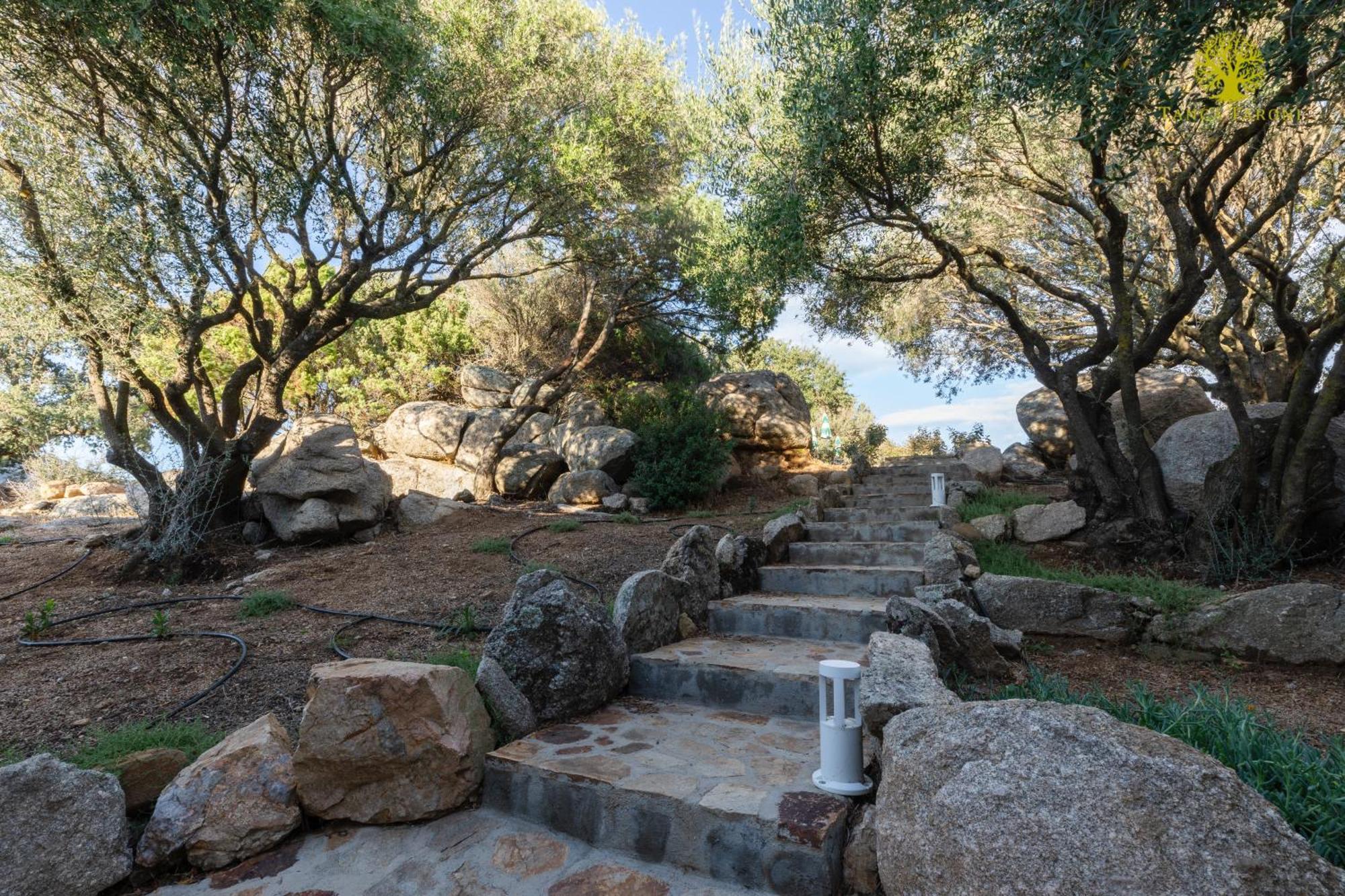 Agriturismo Bed And Breakfast Tanca Taroni Telti ภายนอก รูปภาพ