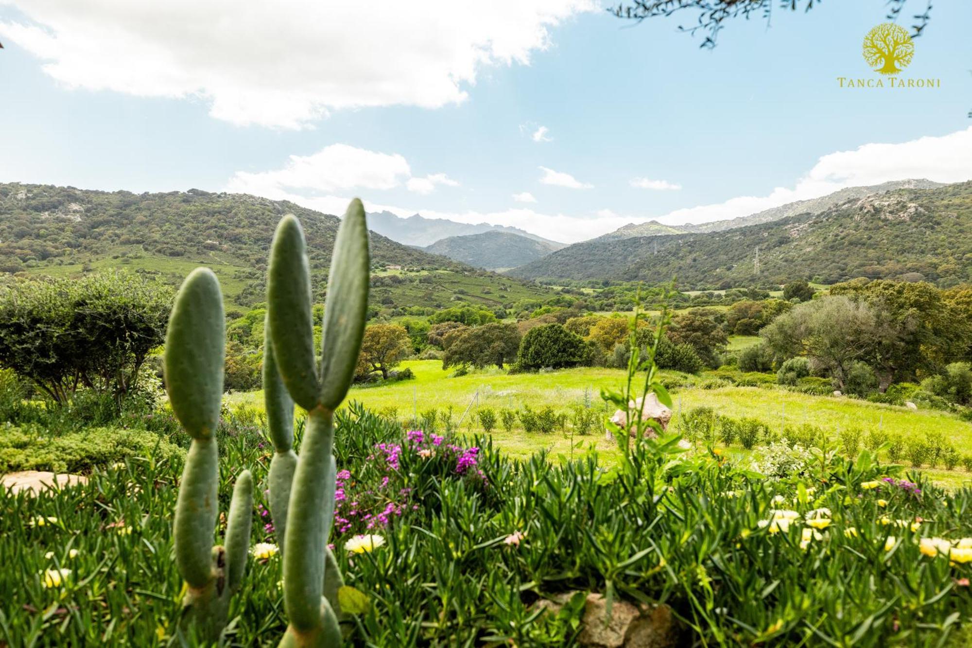 Agriturismo Bed And Breakfast Tanca Taroni Telti ภายนอก รูปภาพ