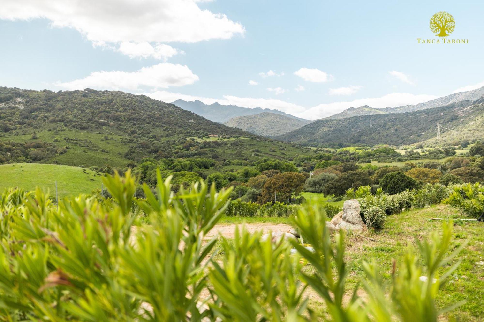 Agriturismo Bed And Breakfast Tanca Taroni Telti ภายนอก รูปภาพ