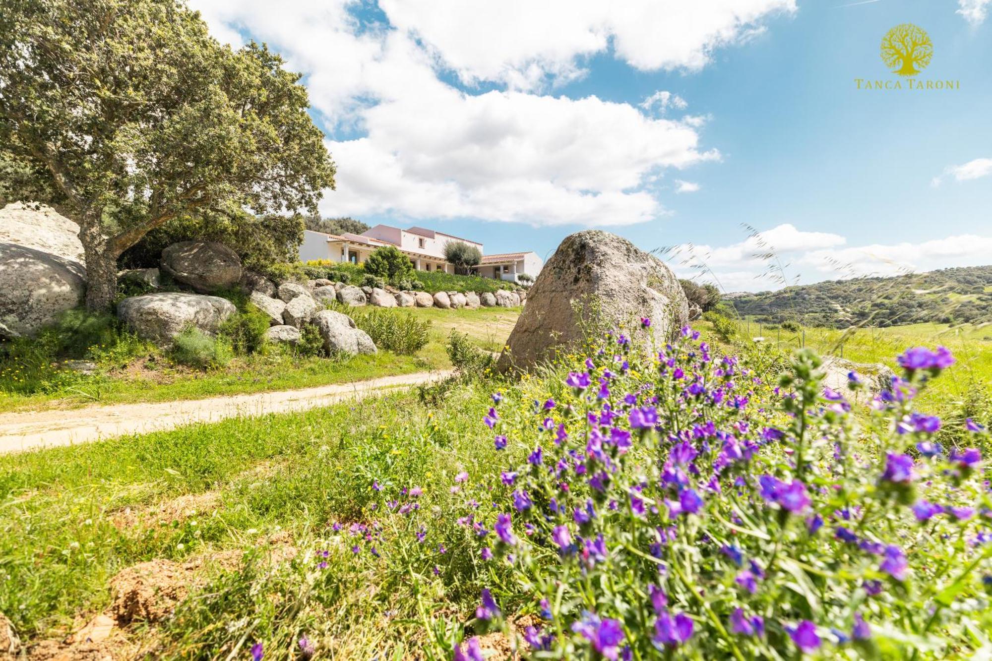 Agriturismo Bed And Breakfast Tanca Taroni Telti ภายนอก รูปภาพ