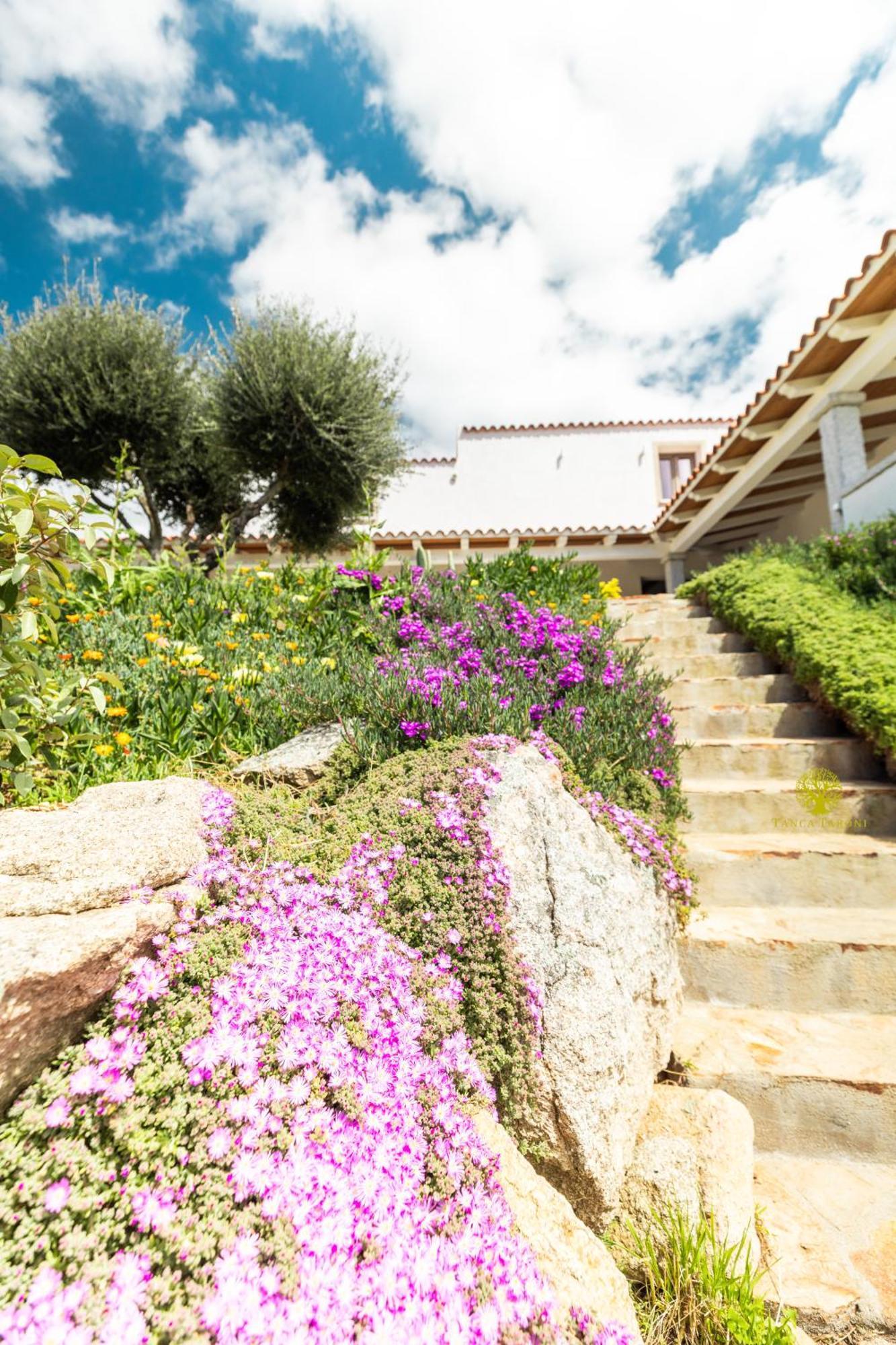 Agriturismo Bed And Breakfast Tanca Taroni Telti ภายนอก รูปภาพ