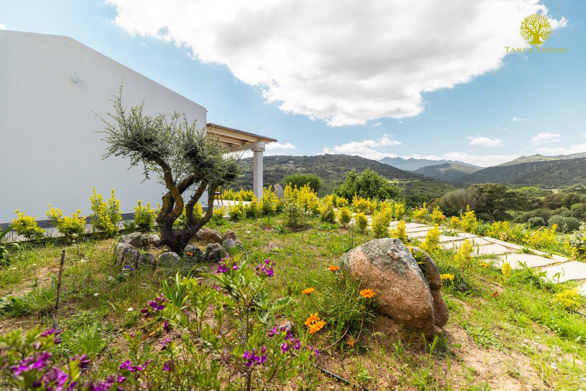 Agriturismo Bed And Breakfast Tanca Taroni Telti ภายนอก รูปภาพ